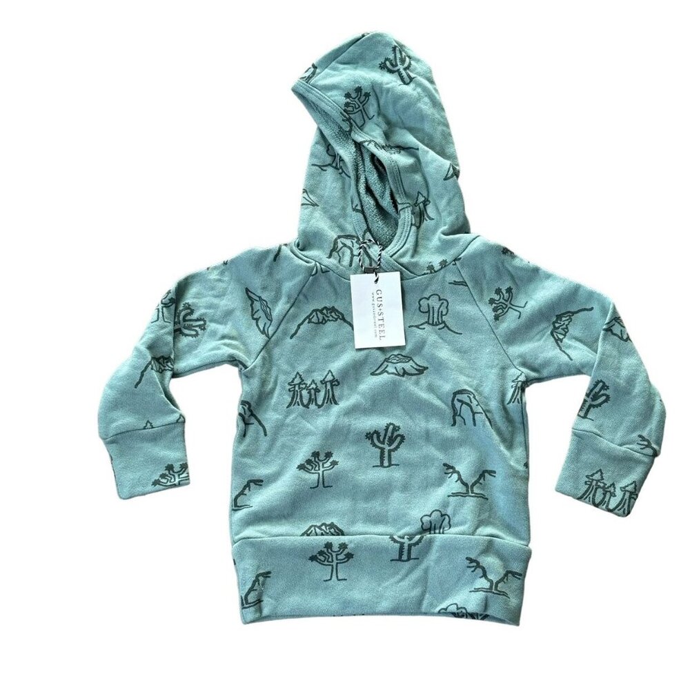 NWT Gus + Steel Mineral National Parks Hoodie 2T